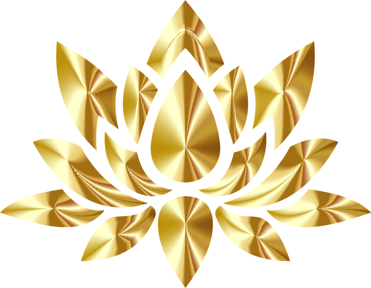 gdj-lotus-5156415_1280 Geh den Weg zum Squirt mit mir